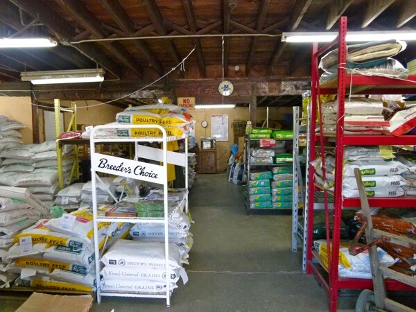 Inside the feed store on Riverside Drive.