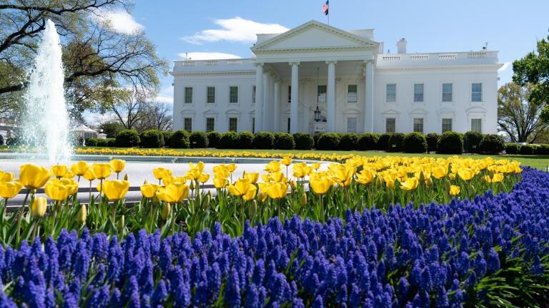 Washington Week Extra for May 1, 2020