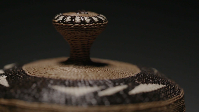 The Art of Basketweaving (Preview)