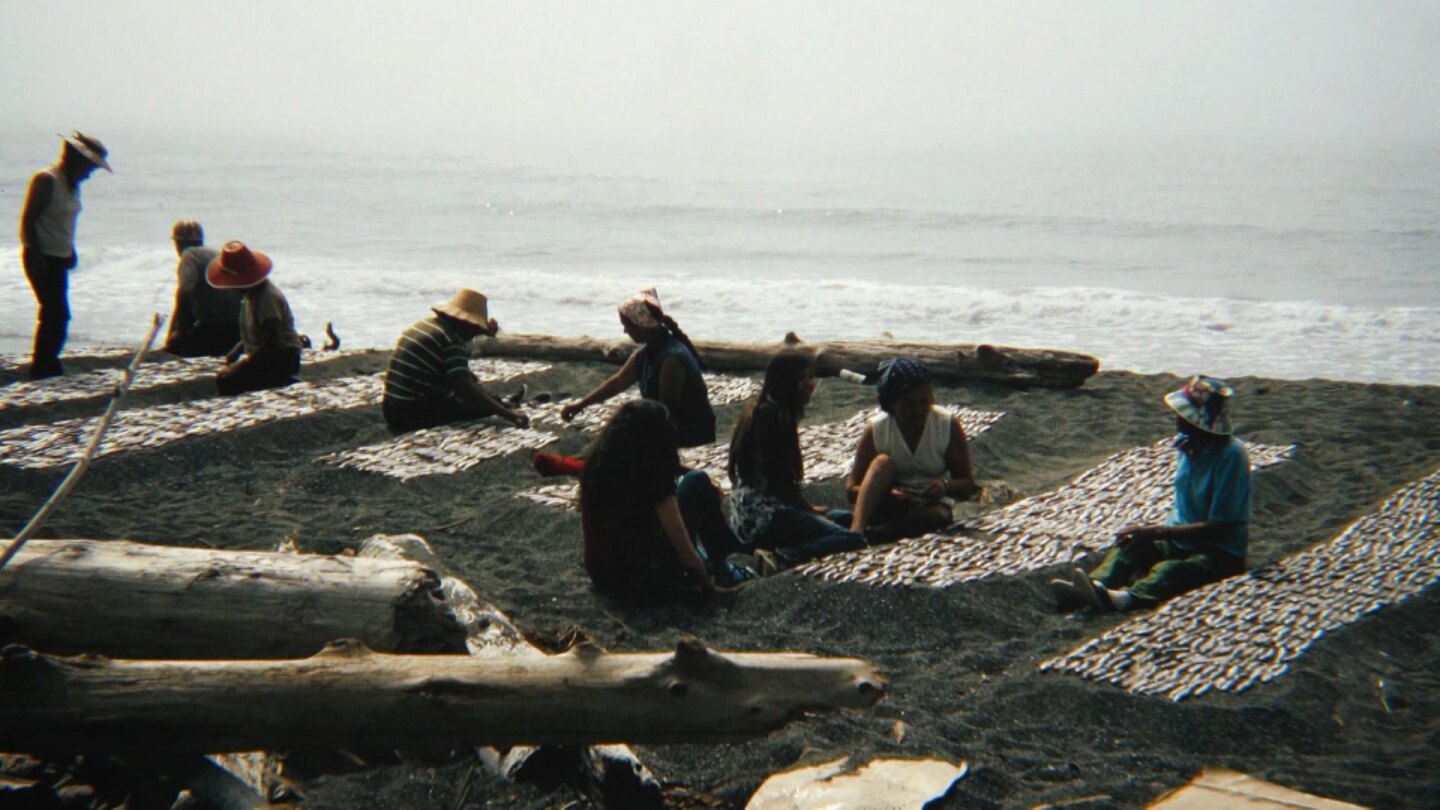 Archival image of Tolowa people camping on the beach to catch and dry smelt. | Still from "Tending Nature"