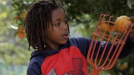 Ch 6: Los Angeles, Garden Paradise