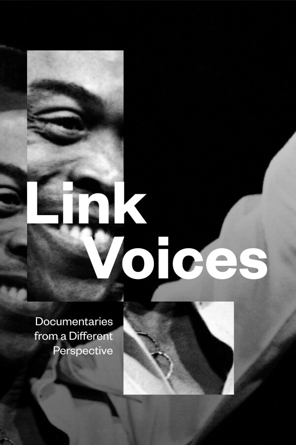 Link Voices Show Poster