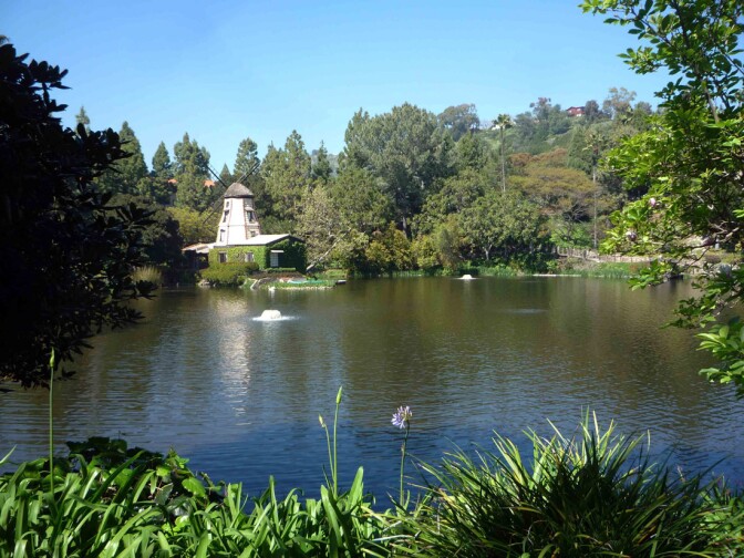 Self-Realization Fellowship (2)