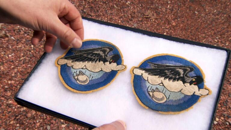 World War II Patch: Bird of War