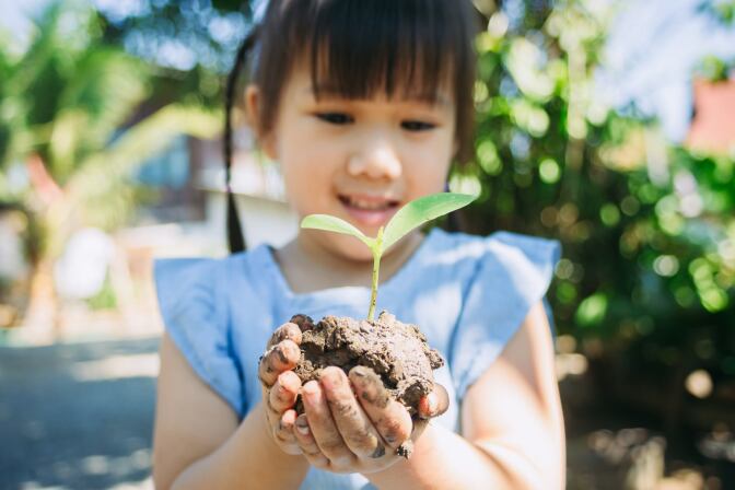 A child holds a small plant in their hands