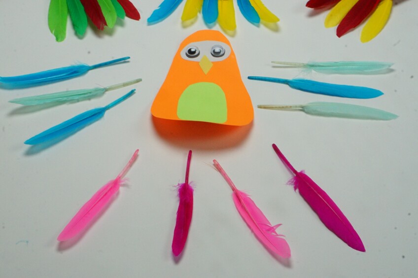 family math activity patterns parrot