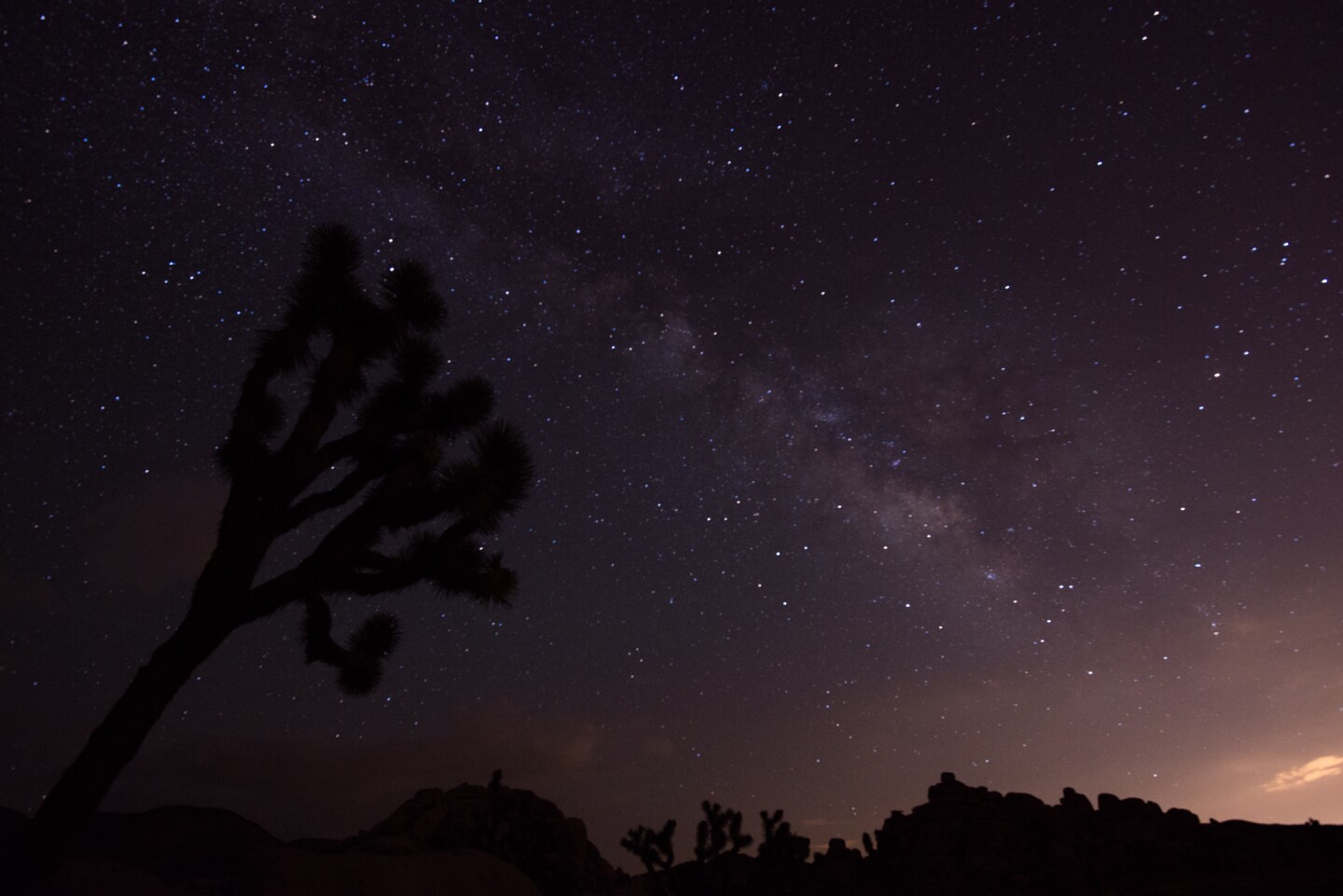 Night sky at Joshua Tree