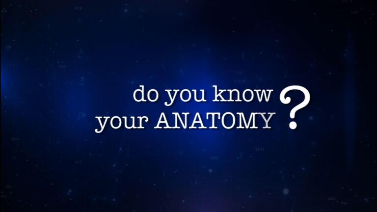 Matter of Fact: Human Body