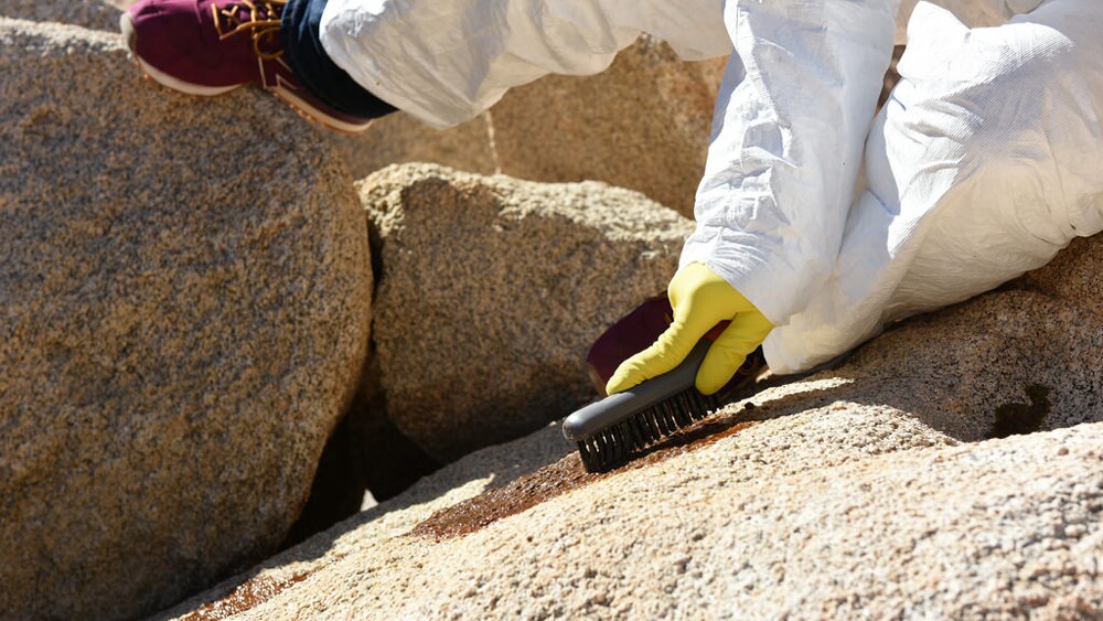 Volunteer removes graffiti at Joshua Tree | Photo: NPS