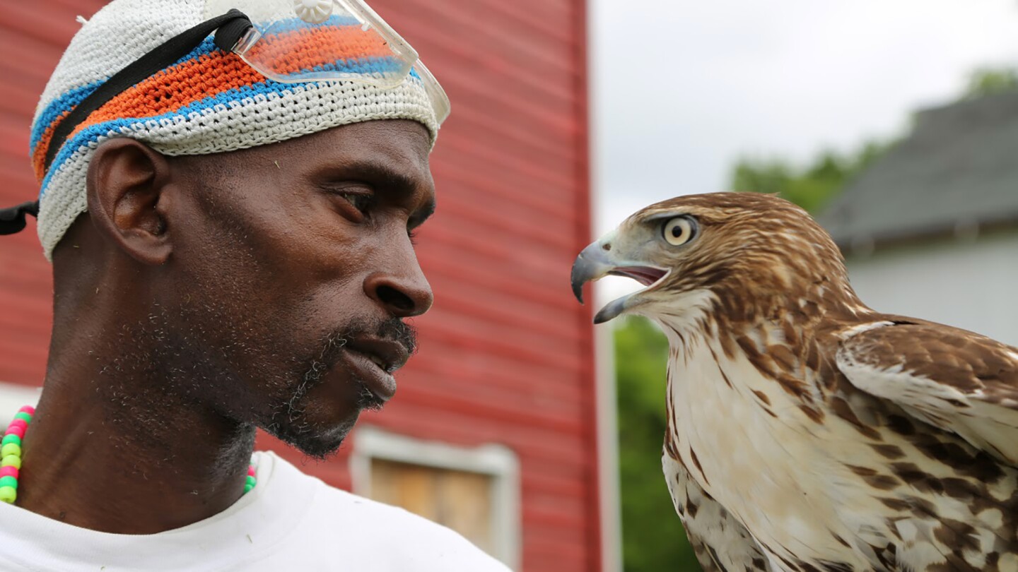 Rodney Stotts holds a Red-tailed hawk.