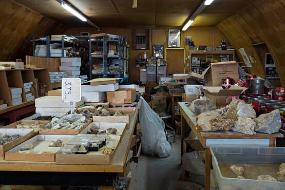 Shop view of Desert Discoveries in Boron, CA. | Photo © Kim Stringfellow.