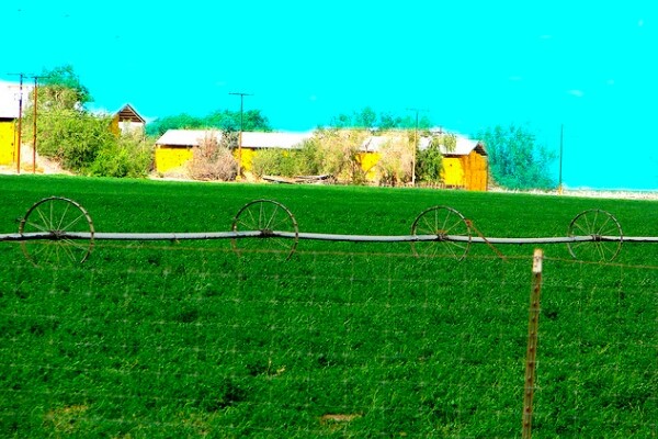 Antelope Valley farm