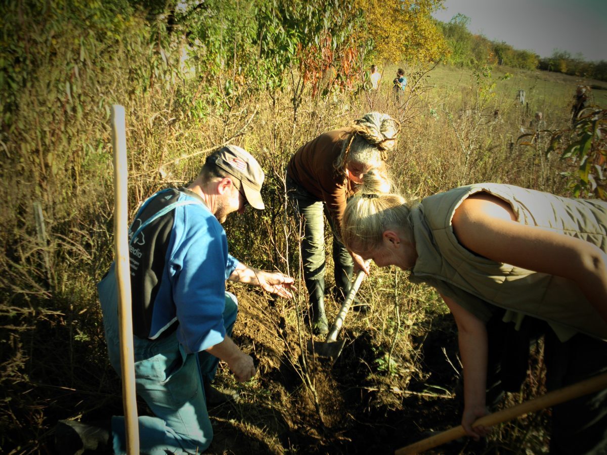 Members working | Transition Network | All Rights Reserved