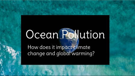 Ocean Pollution - Arielle Derflinger