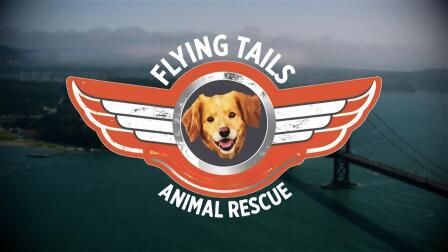 Flying Tails Animal Rescue