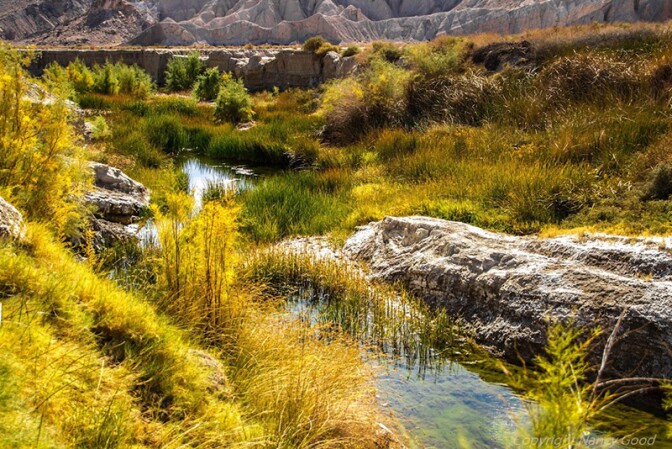 amargosa-river-9-14-16.jpg