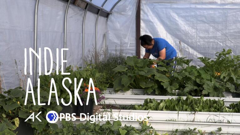 From Mammoth to Kale: A look into gardening in the Arctic
