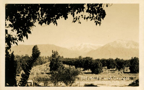 Courtesy of Honnold Mudd Library Special Collections - City of Claremont History Collection