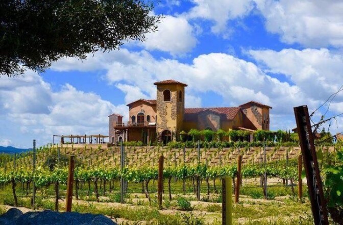 A vineyard with rows of grape vines stands in stark contrast against a bright blue sky dotted with white fluffy clouds. At the top of a hill is a Spanish-revival architecture style building.