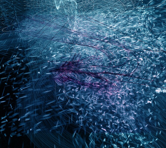 "Flying Feathers" by Echo Lew, 2016, Photography of moving light printed in ink, with acrylic on fine art paper.