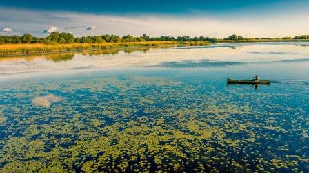 Danube