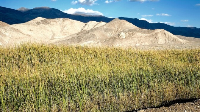 Owens Lake Land Art