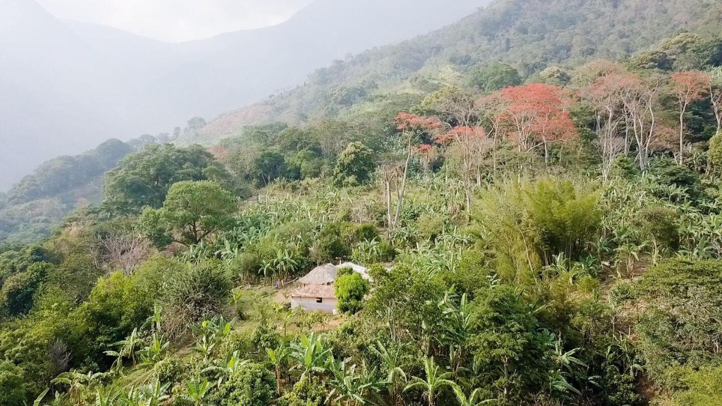 Colombia’s Guardians of the Homelands