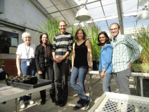 Millet Group