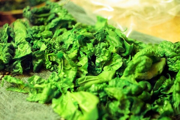 leafygreen1-600