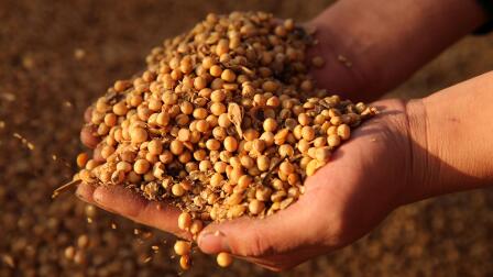 Who holds the power in potential U.S.-China trade war?