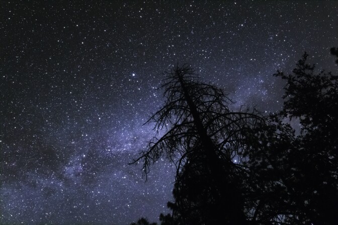 A night sky filled with stars.