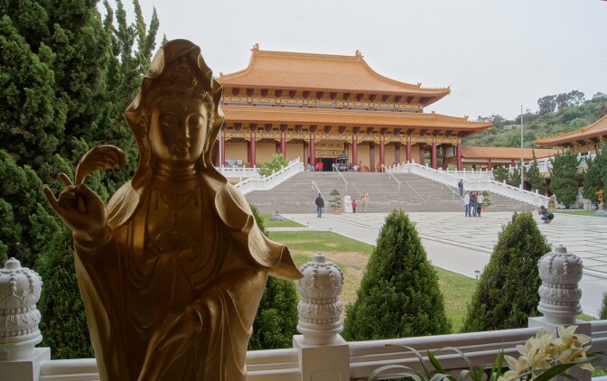 chinese_sgv_hsi_lai_primary.jpg
