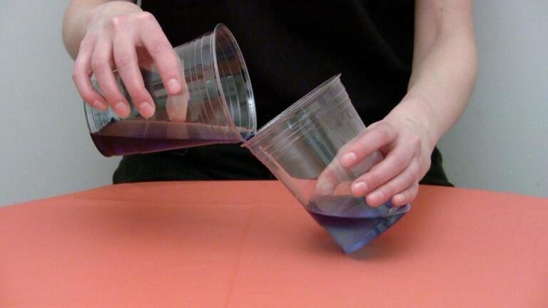 Extract Your Own DNA
