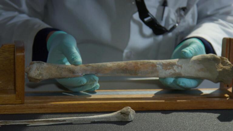 Identifying Lost Crew with Forensics and DNA Analysis