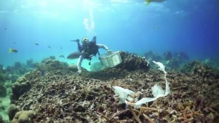 Conservationists take drastic measures to save coral reefs