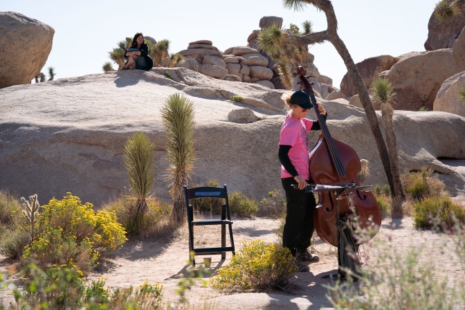 A woman wearing a bright pink t-shirt and a black cap is standing as she plays an upright contrabass. She is surrounded by large desert rock formations and Joshua trees. Other desert flora surround the ground around her. Nearby is a black foldable chair.