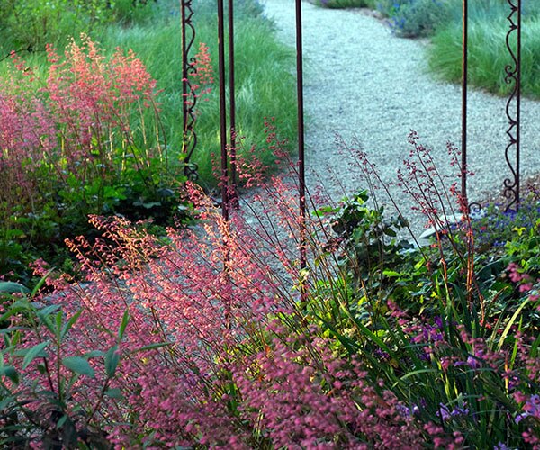 afterthelawn5_3