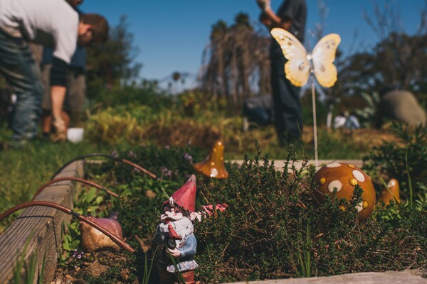 Clarkie Photography