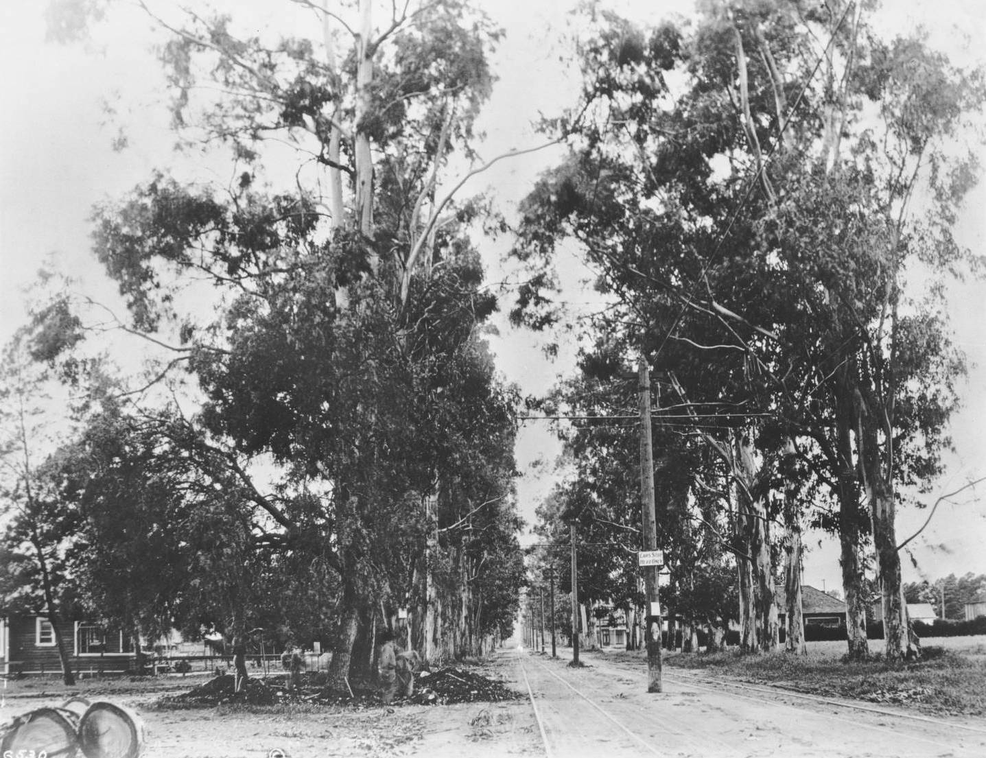 In 1906, Santa Monica Boulevard (seen here at Western Avenue in Colegrove) was little more than a narrow rail right-of-way doubling as a dirt road. Courtesy of the USC Libraries - California Historical Society Collection.