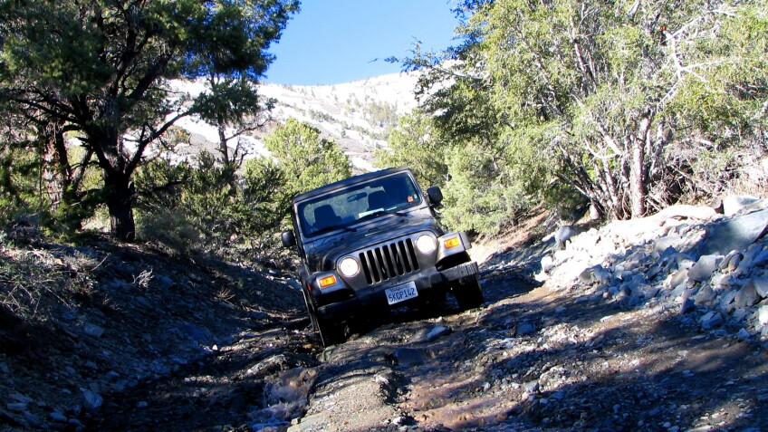 The road to Mahogany Flat campground