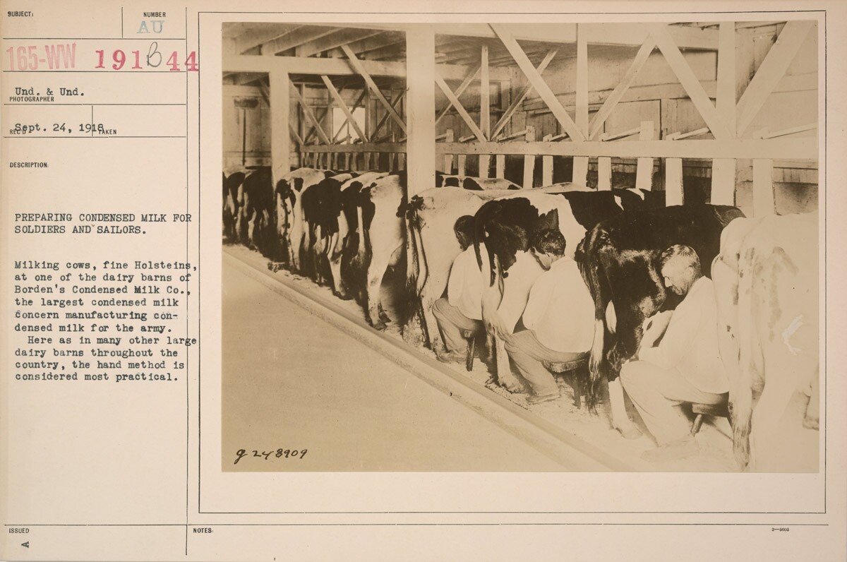 Industries of War - Canning - PREPARING CONDENSED MILK FOR SOLDIERS AND SAILORS | Wikimedia Commons