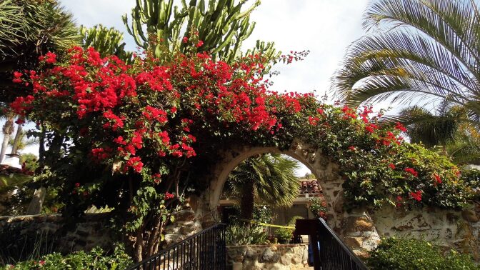 An archway with overgrown flowers at the Leo Carrillo Ranch Historic Park.