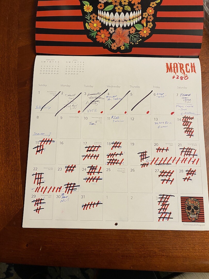 Calendar with cross outs in March 2020, due to COVID-19 pandemic