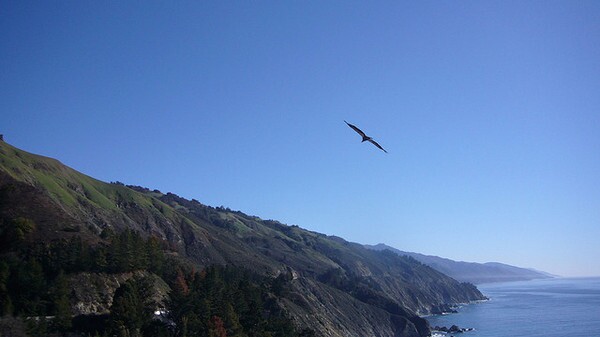 condor-big-sur-11-14-13-thumb-600x337-63833