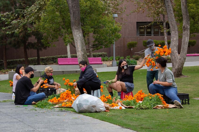 People working on paper flowers for ofrendas at Grand Park for Día de los Muertos in 2020 | Rafael Cardenas