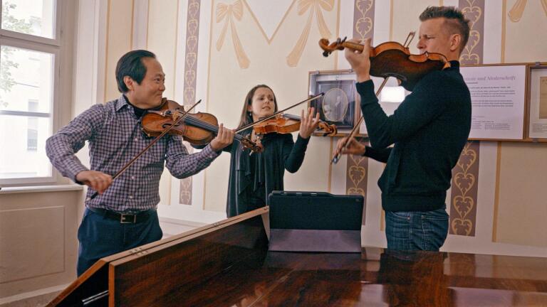 Haydn: King of Strings Preview