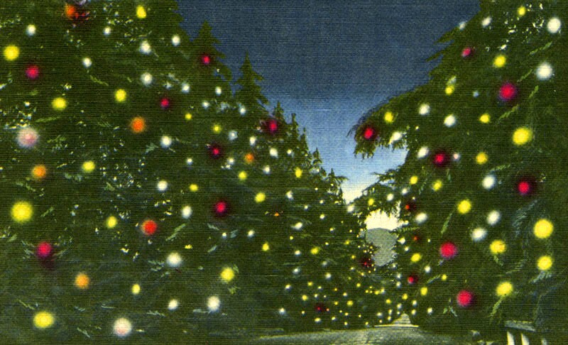 A color postcard of Altadena's Santa Rosa Avenue transformed into Christmas Tree Lane. Courtesy of the Security Pacific National Bank Collection - Los Angeles Public Library.