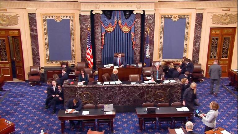 Still of footage from the U.S. Senate floor. | Democracy Now