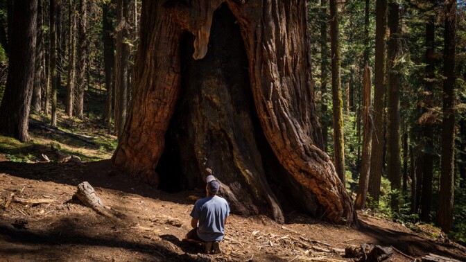 Man kneeling in Giant Sequoia National Monument | Photo: Michael E. Gordon