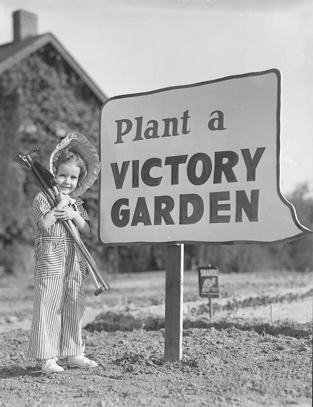 A child by a victory garden sign, 1942-43.